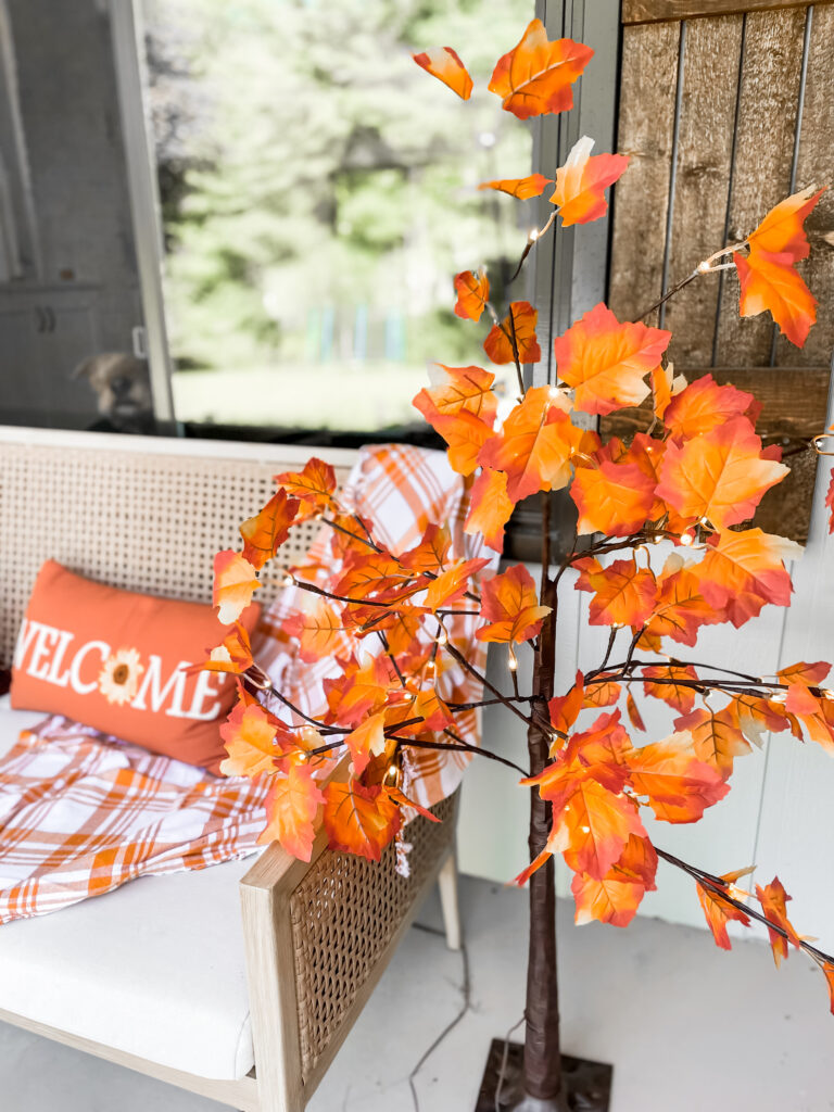 fall flowers 