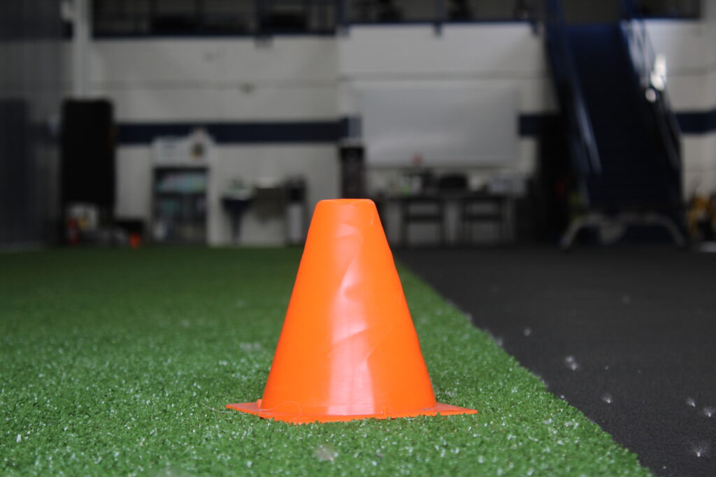 turf gym floor